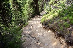 12 The Trail Descends From Lake Agnes Trail To Plain Of Six Glaciers Trail Near Lake Louise.jpg